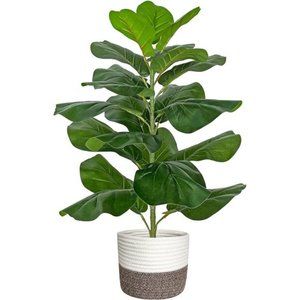 Artificial Fiddle Leaf Fig Tree/Faux Ficus Lyrata for Home Office Decoration